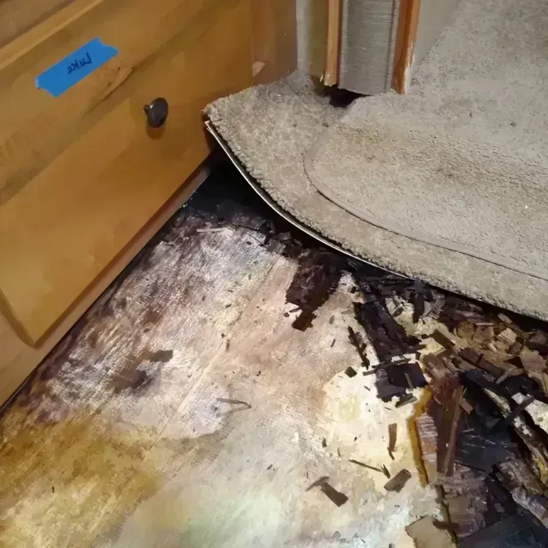 Best Wood Floor Water Damage Service in Gratiot County, MI